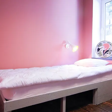Guest house Black Flamingo *