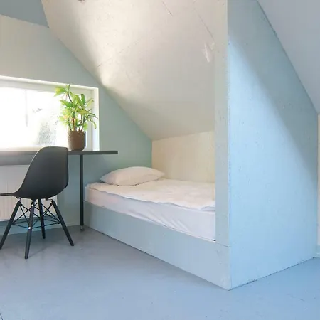 Guest house Black Flamingo *